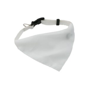 Roco - obroża dla psa