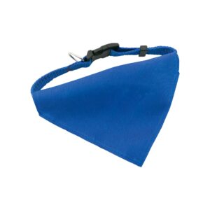 Roco - obroża dla psa